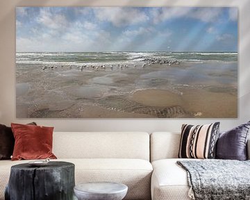 Texel, Gulls on a breakwater by Ruth de Ruwe