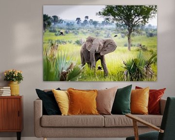 Baby olifant dansend in de regen met vogels in Afrika van Laura de Kwant