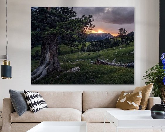 Aperçu de la chambre