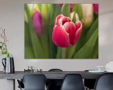 Tulipe sur Maikel Brands