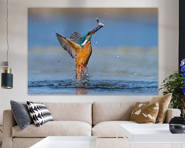 Kingfisher - In a flash by Kingfisher.photo - Corné van Oosterhout