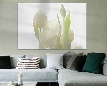 Witte tulpen