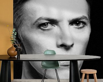 David Bowie in Der Mann, der auf die Erde fiel von Bridgeman Images