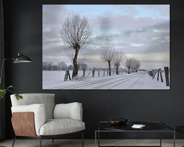 Winterimpressie aan de Niederrhein, Bislicher Insel. van wunderbare Erde