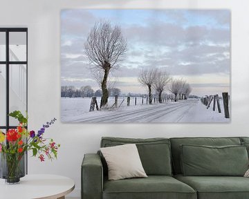 Winterimpressie aan de Niederrhein, Bislicher Insel. van wunderbare Erde