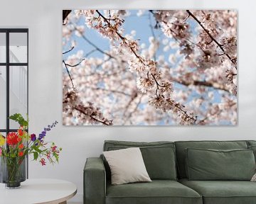 Japanese Cherry Blossom by lisanne Vloet