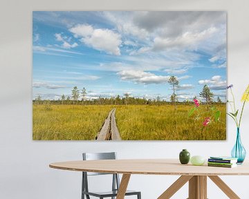 Wandelen in oneindig landschap in Zweden van Reis Genie