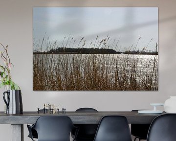 Zicht op natuurgebied Lauwersmeer bij Ezumakeeg van Mark van der Werf