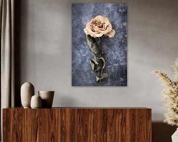 dried rose on zinc subsurface by Karel Ham