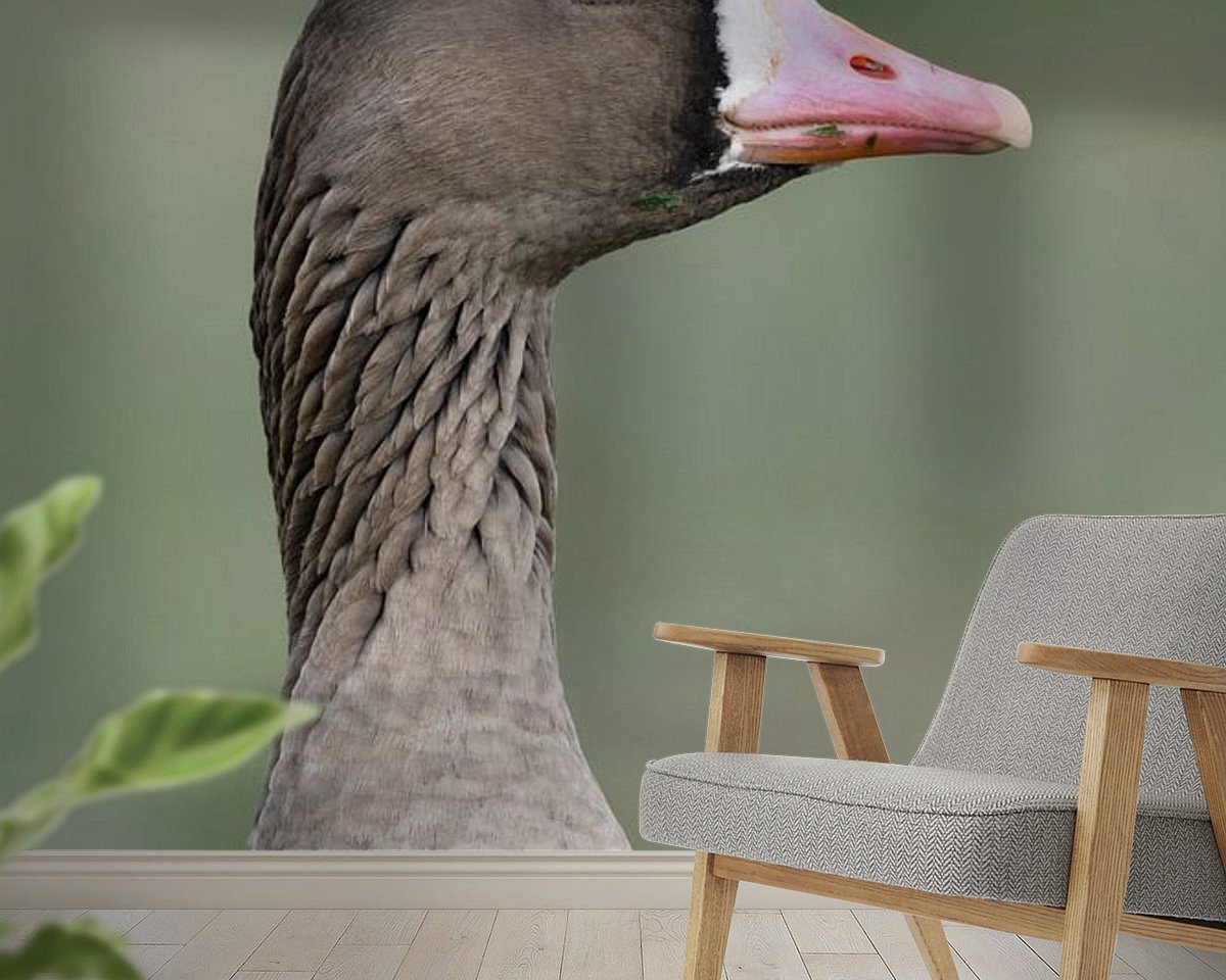 Raumvorschau