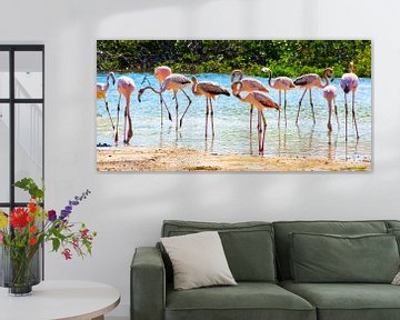 Young Flamingos on Bonaire by Michel Groen