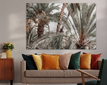 Palmbomen in Alicante van Shelena van de Voorde