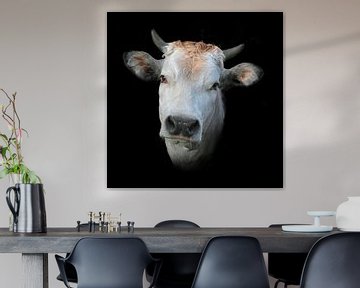Piedmont cow by Ruth de Ruwe