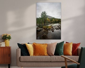 Bos en rivier in zuid Noorwegen van Mickéle Godderis