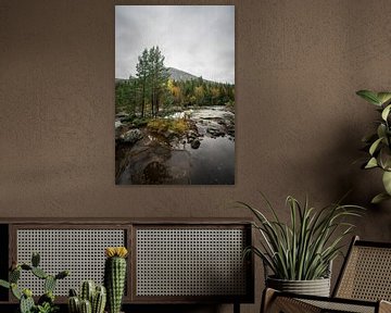 Wald und Fluss in Südnorwegen von Mickéle Godderis