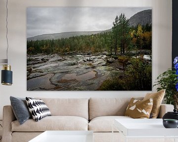 Laag staande rivier en bos in Noorwegen van Mickéle Godderis
