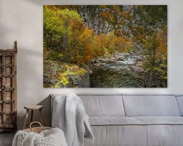 Couleurs d'automne sur une rivière en Norvège sur Mickéle Godderis