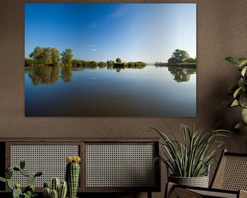 Panorama Biesbosch by Frank Peters