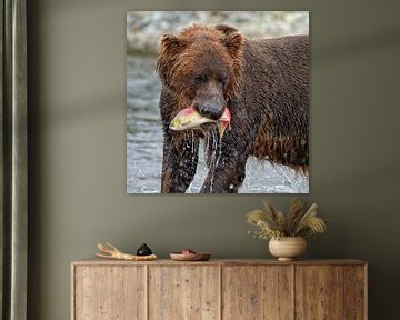 Wild brown bear with salmon 2 by Ruth de Ruwe
