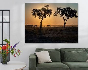elephants sunset behind trees by Marc Van den Broeck