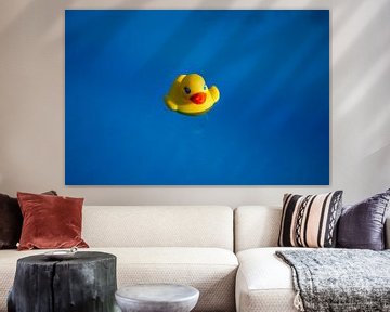 Yellow rubber duck in a blue pool by Dennis  Georgiev