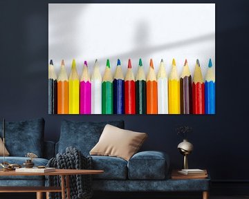 Coloured pencils in a row on a white background
