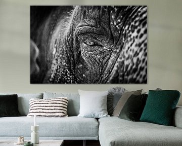 The soul of the elephant (black and white) by Joey Ploch