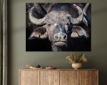 buffalo head by Marc Van den Broeck