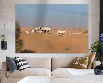 Groepje Oryxen in de woestijn van Ruth de Ruwe