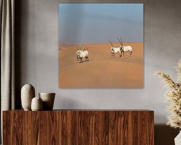Oryxes in the desert by Ruth de Ruwe