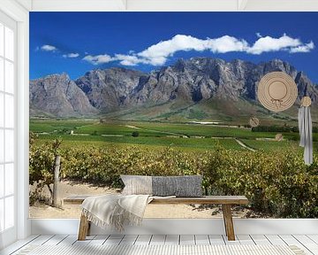 Uitzicht over wijnvelden in de Westkaap, Zuid-Afrika