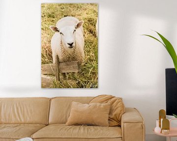 ein Schaf. von Kyra de Putter