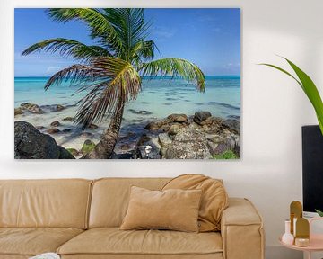 Palmboom op een paradijselijk eiland van Reis Genie