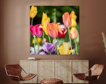 Feld voller farbenfroher Tulpen von de buurtfotograaf Leontien