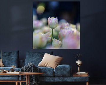 Tulpen in Pastelltönen 4 von de buurtfotograaf Leontien