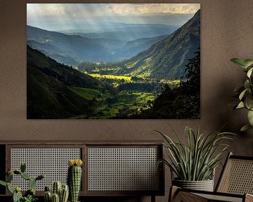 Landscape of the Cocora Valley, Colombia by Floris Heuer