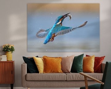 Kingfisher - In a flash by Kingfisher.photo - Corné van Oosterhout