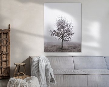 Arbre solitaire sur Jakub Wencek