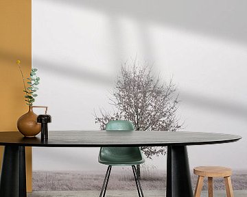 Lonely tree by Jakub Wencek