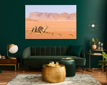 Twee kamelen in de Wadi Rum woestijn in Jordanië van Reis Genie