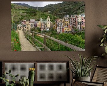 Gekleurde huisjes en wijngaarden in Manarola, Cinque Terre van Reis Genie