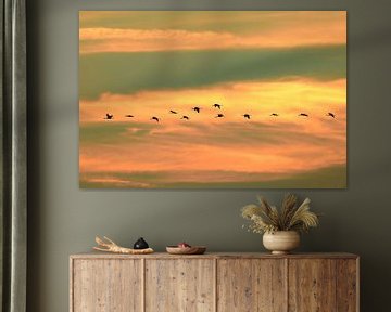 Kraanvogels vliegen in de lucht tijdens de zonsondergang