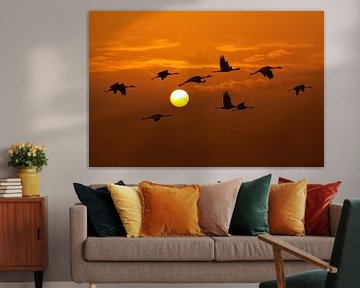 Kraanvogels vliegen in de lucht tijdens de zonsondergang van Sjoerd van der Wal