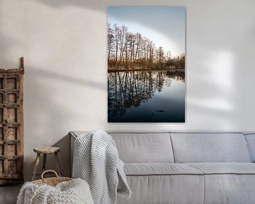 Bomen in de ochtendzon - water reflectie van Wianda Bongen