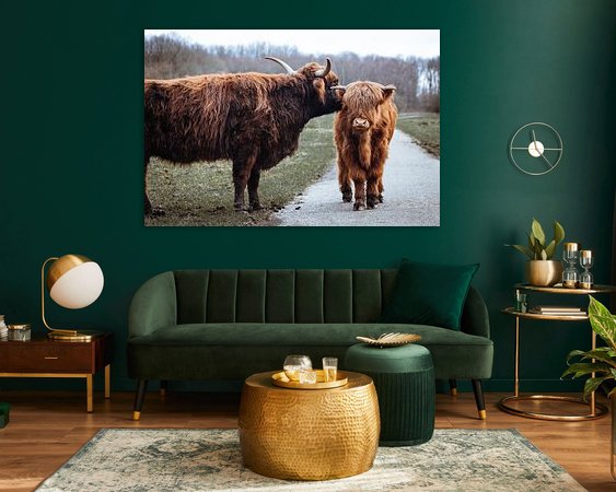 Aperçu de la chambre