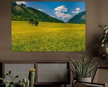 Frühling in Österreich von Henk Meijer Photography