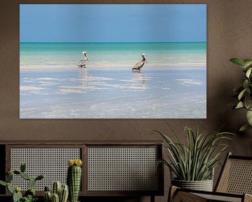 Two pelicans on the beach of Isla Holbox, Mexico by Reis Genie