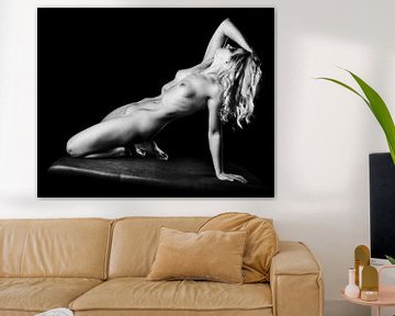 Femme nue avec un beau corps photographiée en noir et blanc #P1236 sur Photostudioholland