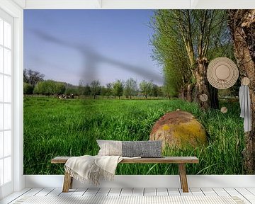 Badkuip in een veld in de lente van Mickéle Godderis