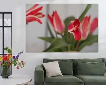 Red white 3d tulips by Jolanda de Jong-Jansen